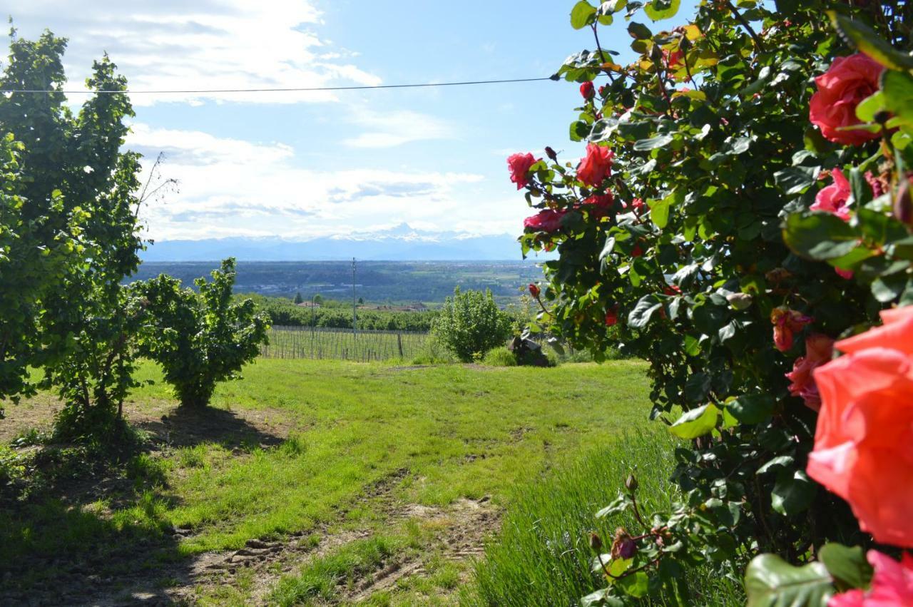 Tra... Monti E Vigne Bed & Breakfast ลามอร์รา ภายนอก รูปภาพ
